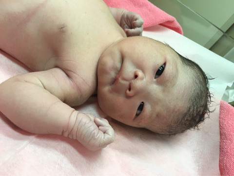 o0480036013478271375