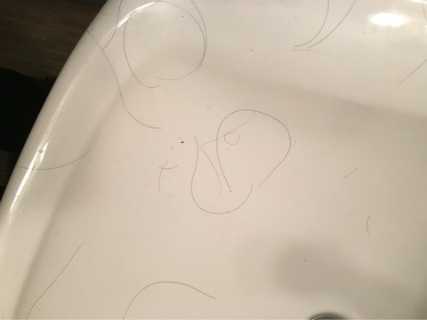 o0480036013525710456