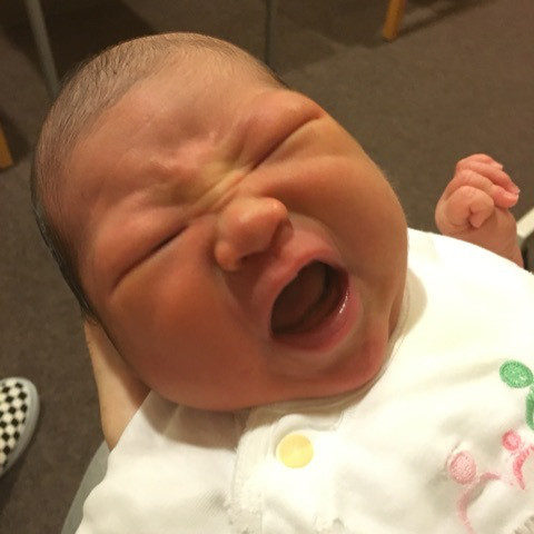 o0480064113482934165