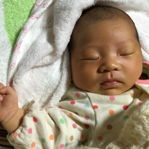 o0480064113493117207