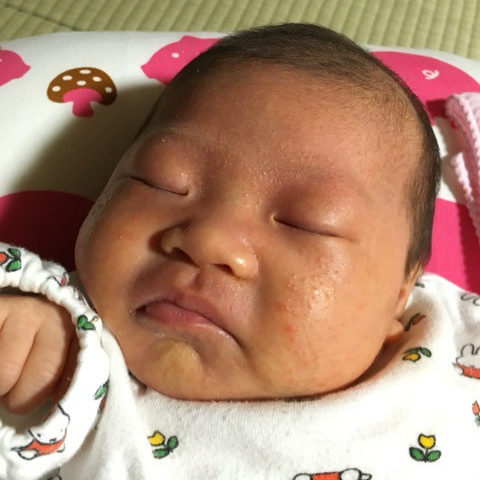 o0480064113506899442