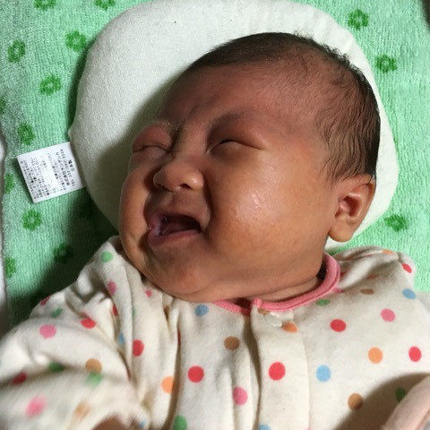 o0480064113519593544