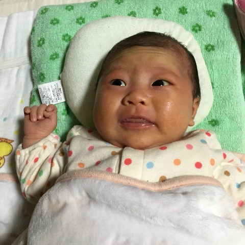 o0480064113519593631