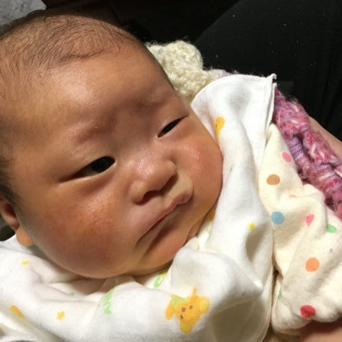 o0480064113519593668