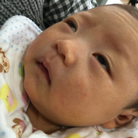 o0480064113519593690