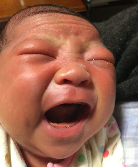 o0480066613493117335