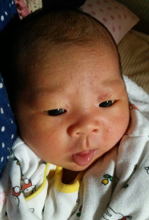 o0480085413508070154