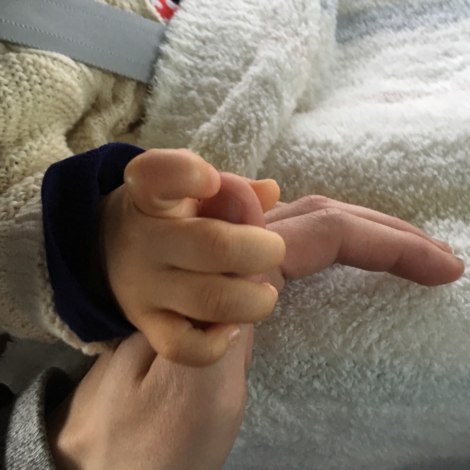 fd81dec07dc71aeb26a35a4a847388e4_2736dcad63565cc9ec1a19c73cbdcfe3