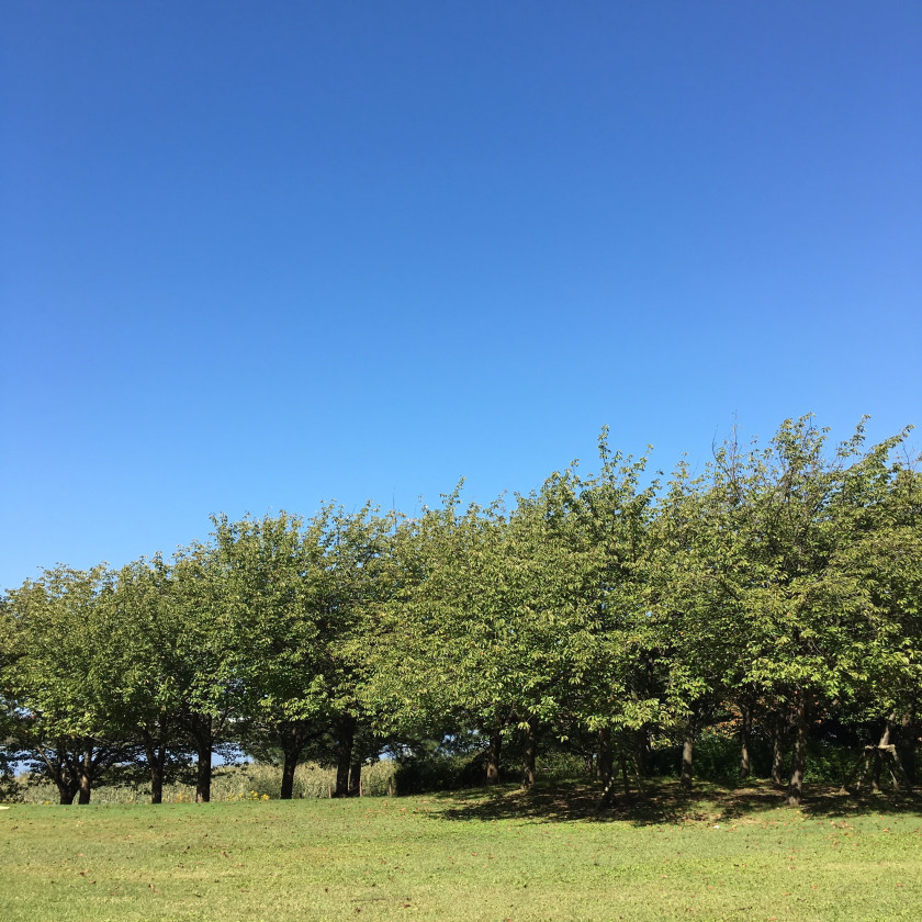 13d49799008b29c1bda5bbba886e5db3_58668f6ac780d25d7237f26e04159f26