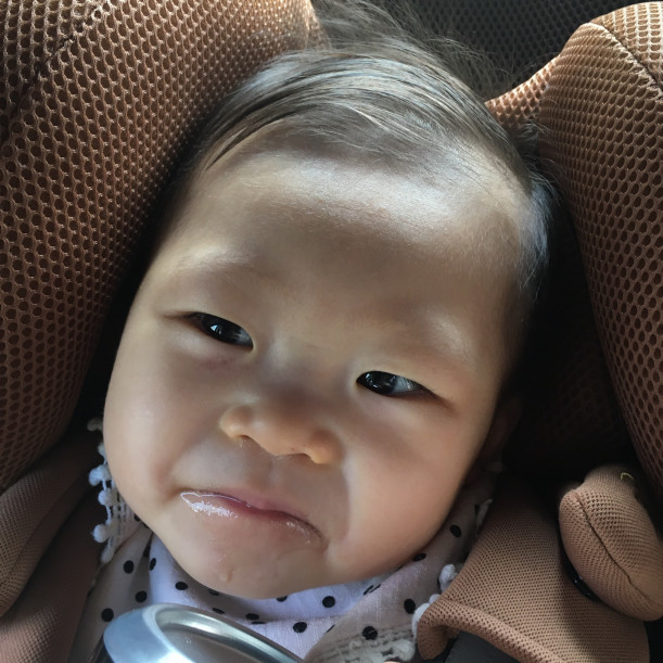 31b5770a8eab909394d9ddbe58011384_88bba1bd162d3421a76f568c31d309af