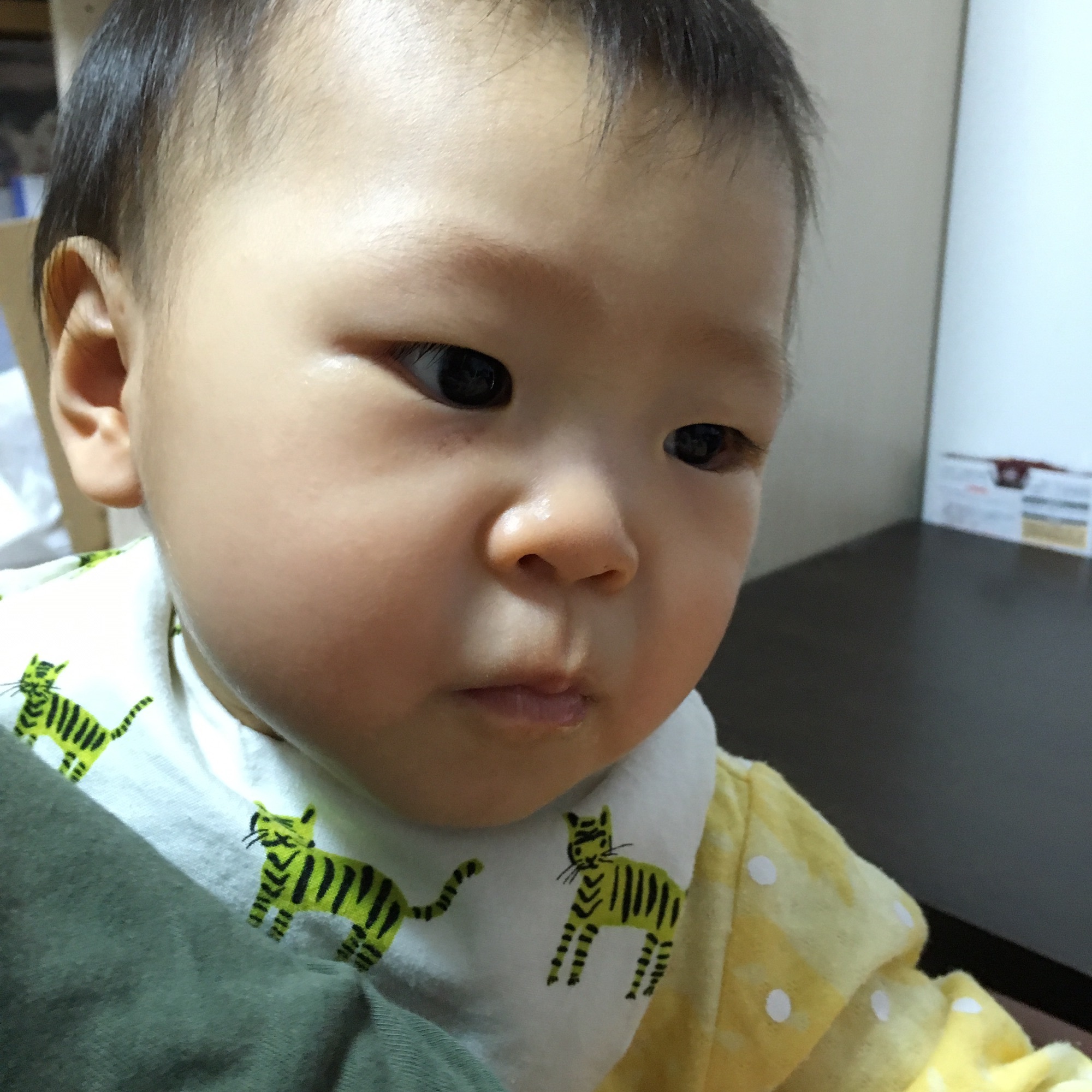 331fcef5d1202417767c491727a7e475_17c143c8d79ced2ecc7d2d602d26a886