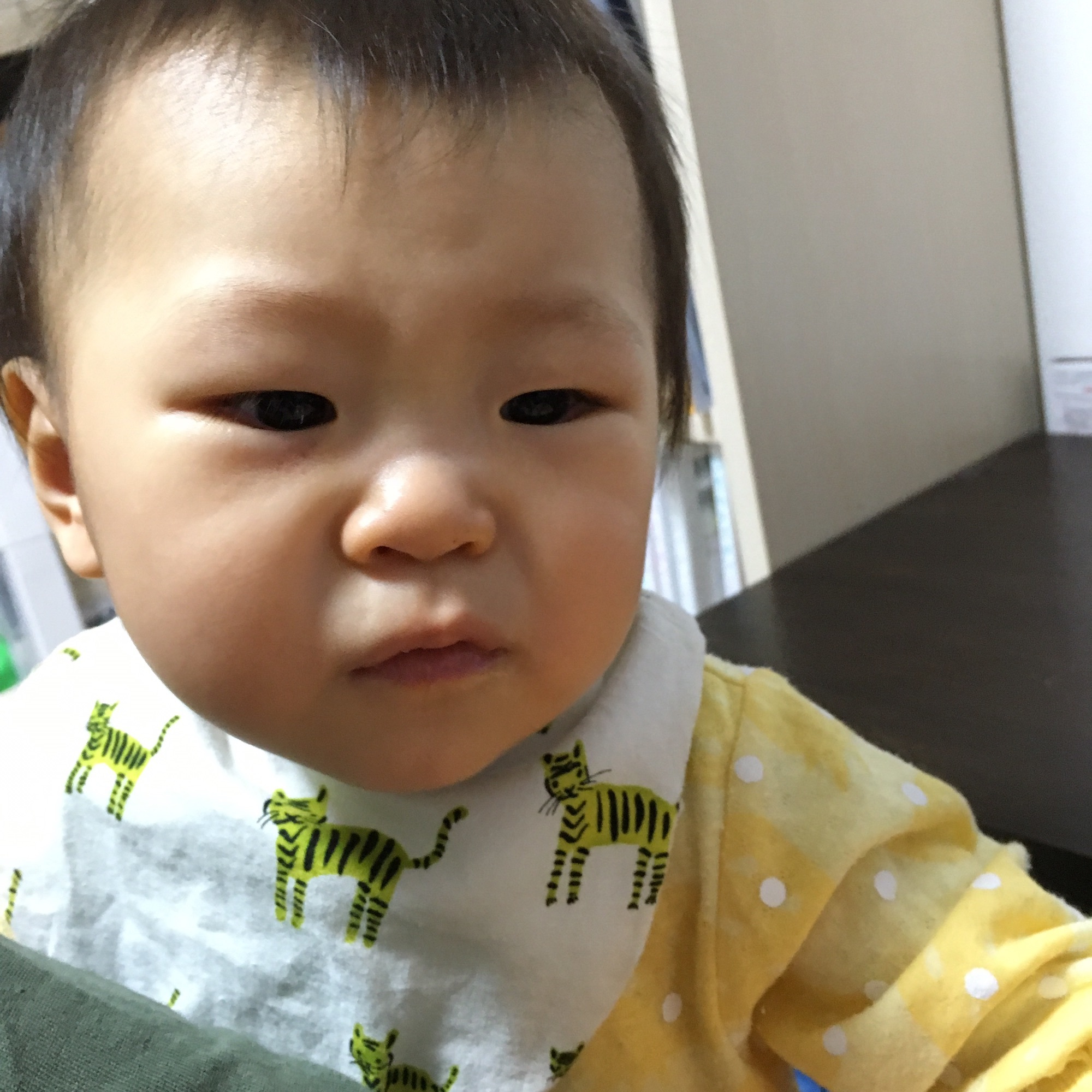 c25e9bb4808726b7b6a297a4d351044f_e31ff3f179543b1a3c55c0707717cc82