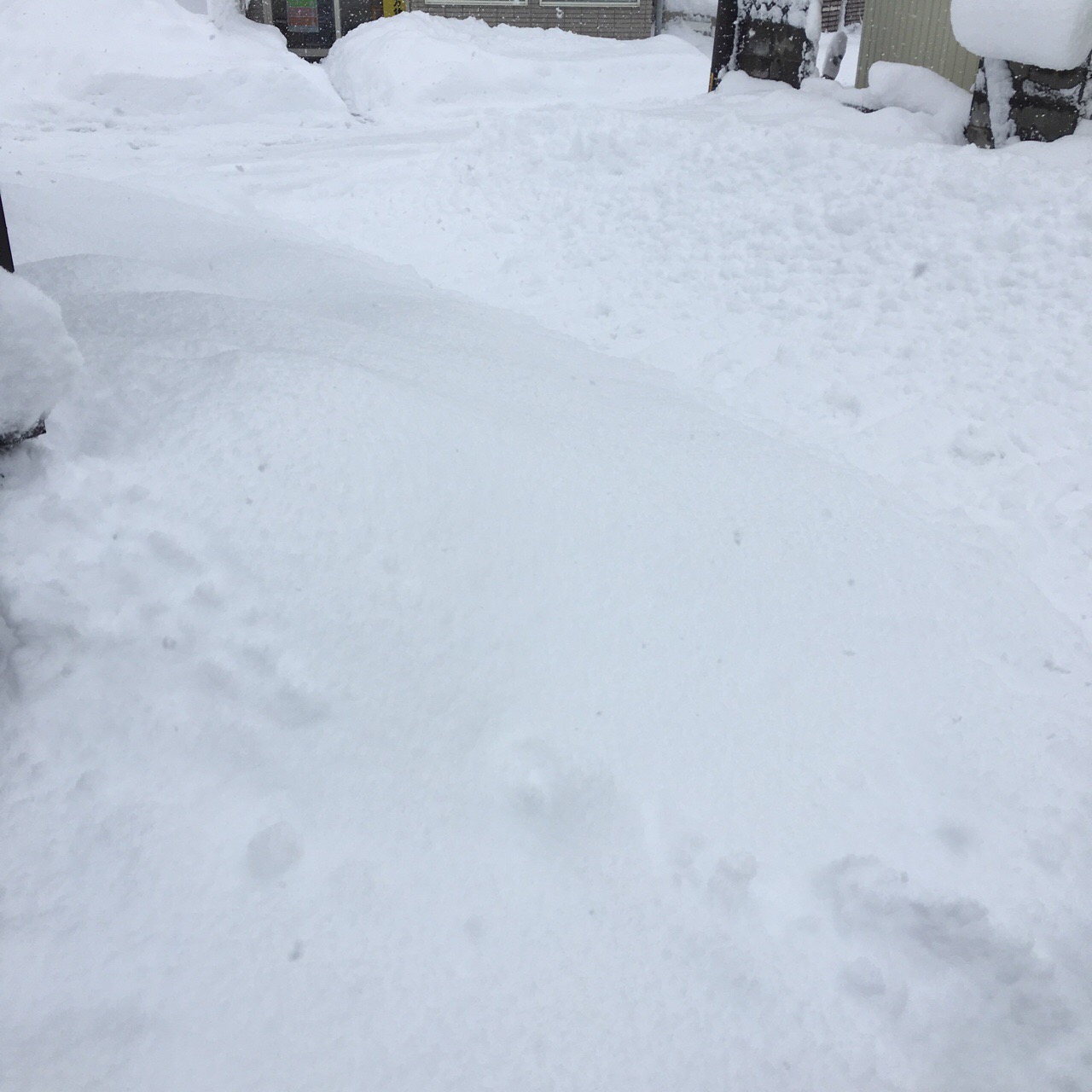 3ED4A049-0A44-43C9-9739-3122AFB7D06D