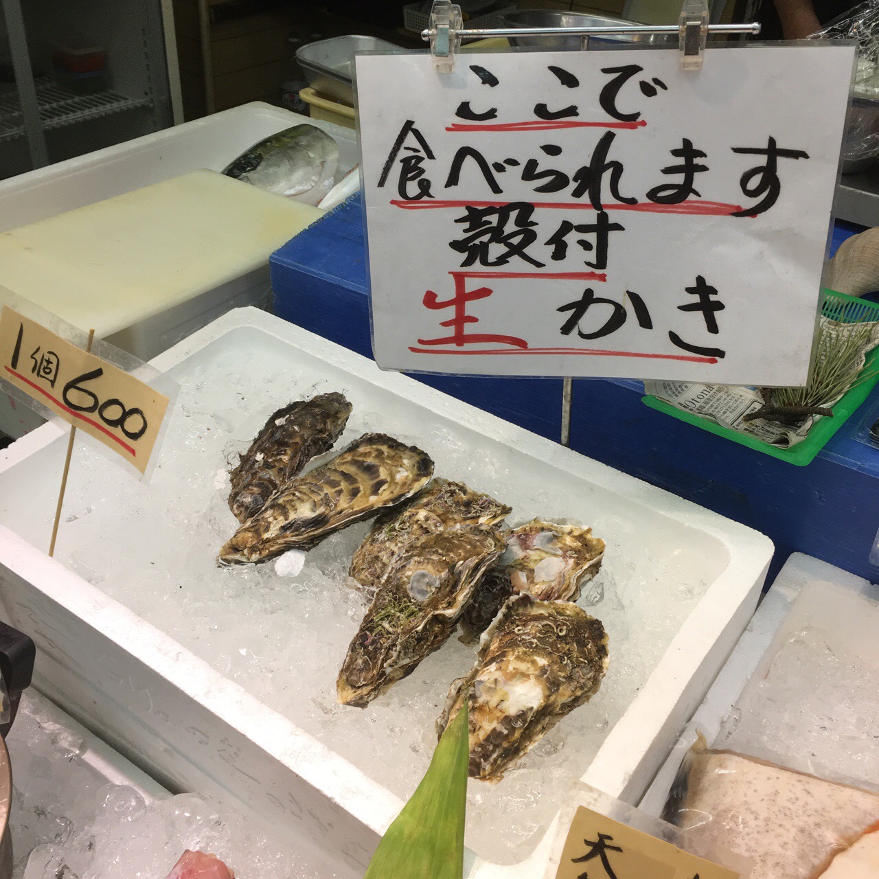 41E3DA71-9715-45AF-8227-34A50FFB9407