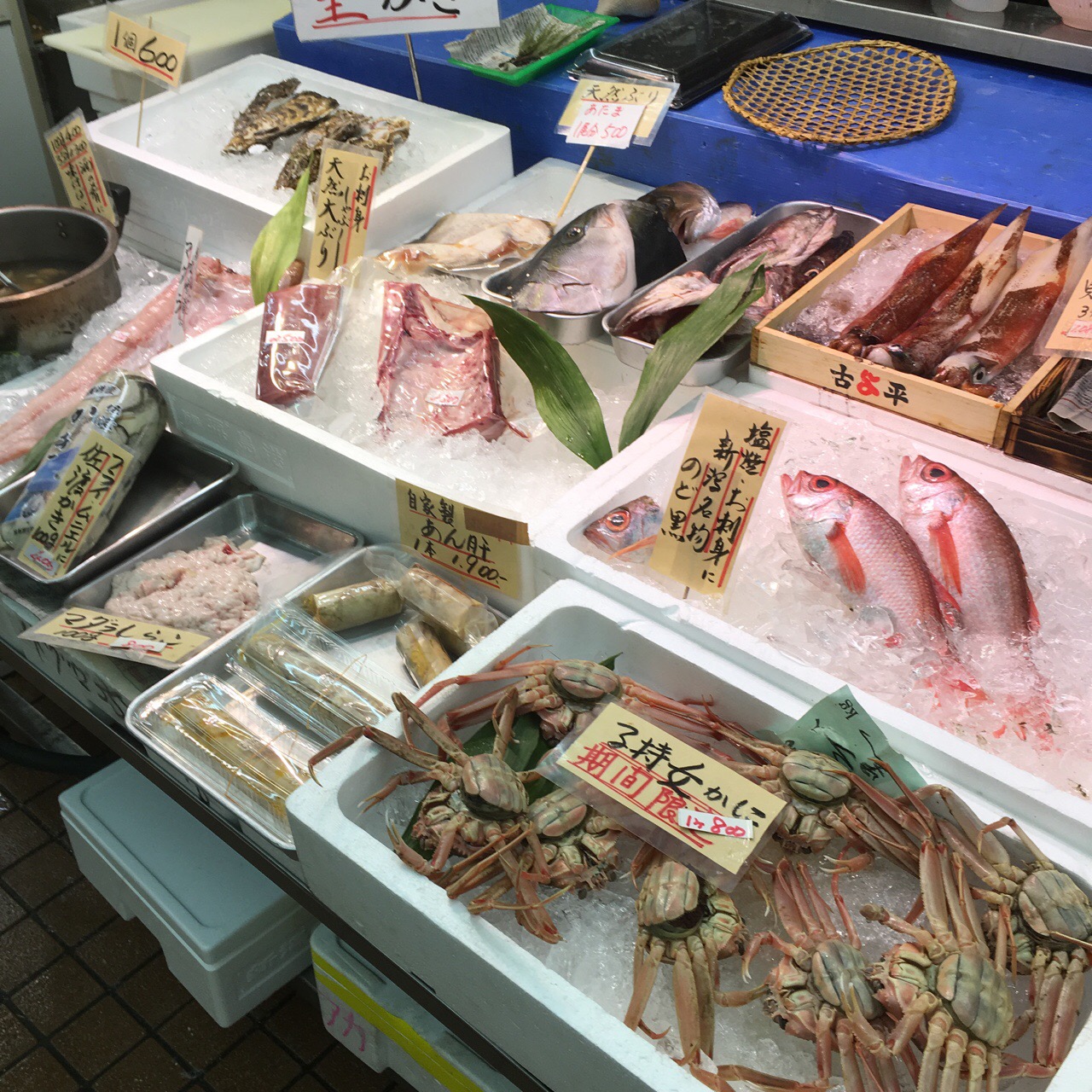 46FE39ED-ACDA-4D76-888C-14B0450311E5