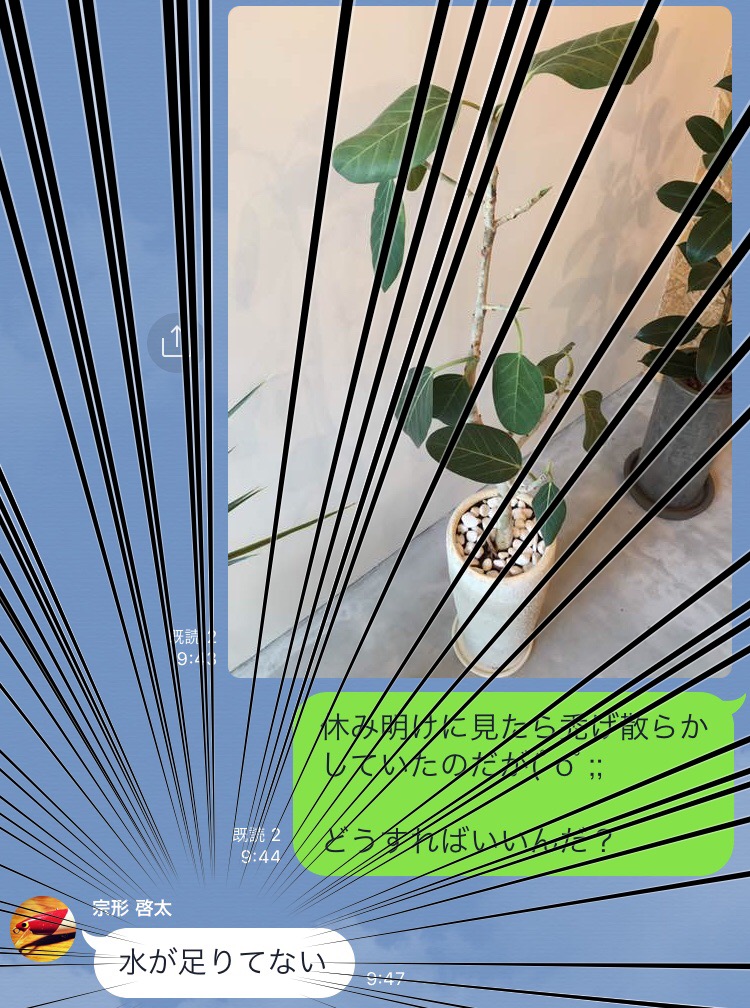 47FAAAB9-5468-4C04-8DB6-1E7F0F045487