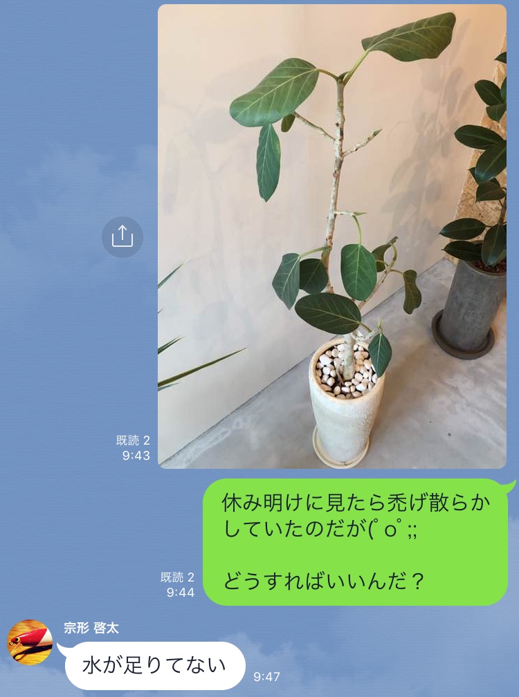 BB20CA3F-764C-4427-8A05-E6D97F580A84