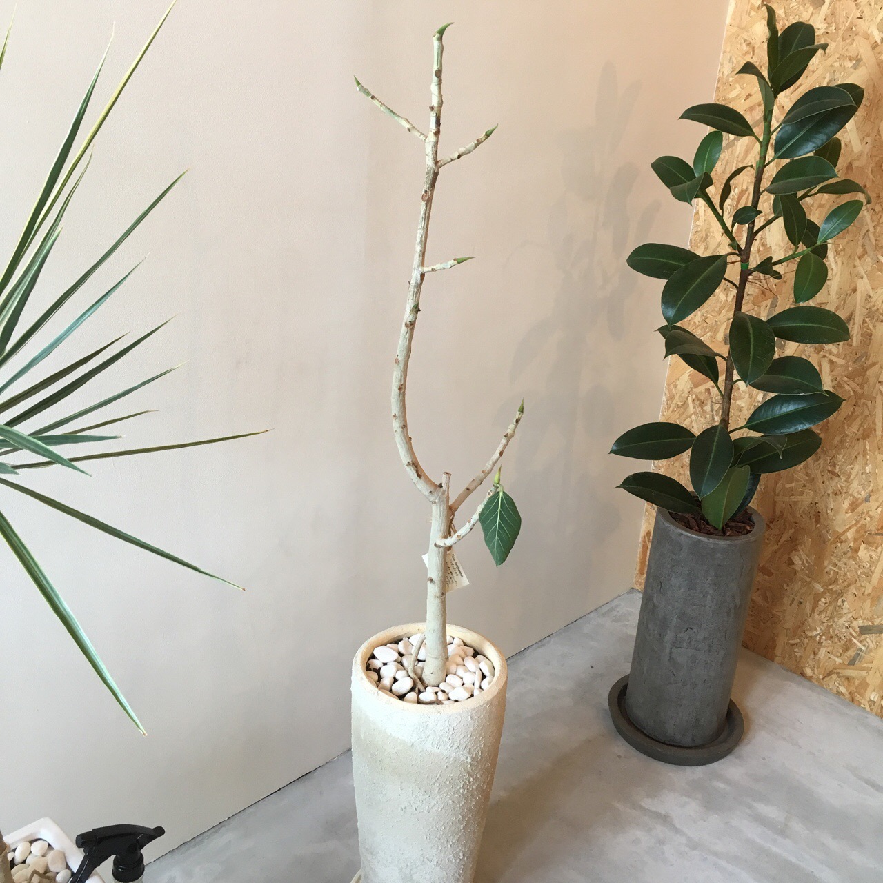 E4BE6CF6-B436-45B2-965C-733CBA4E1A4C