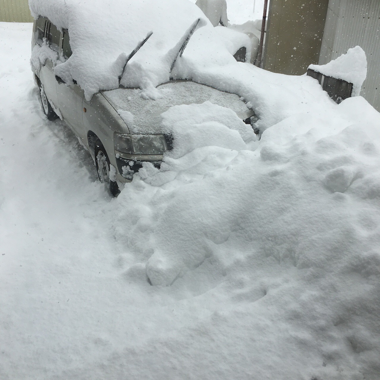 EE326E01-2AE5-4F02-BA68-6AF8D853691D