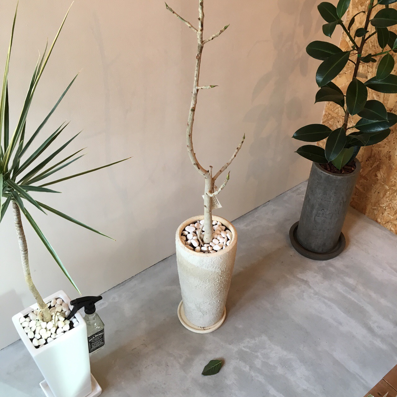 FFA6D334-417F-410F-8AA3-CC96E729EBED