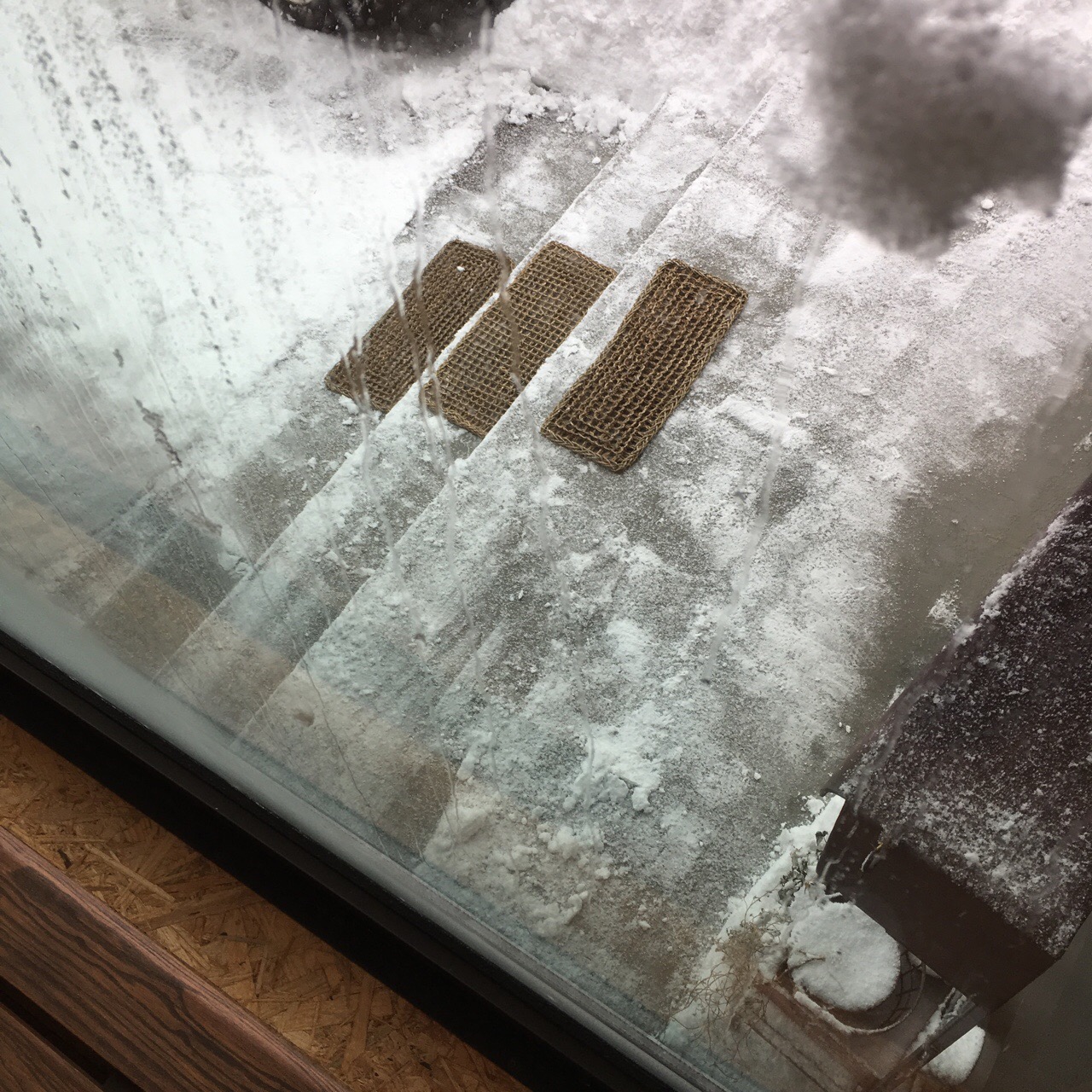 32DDEA69-8552-43C6-9D23-539B3B065915