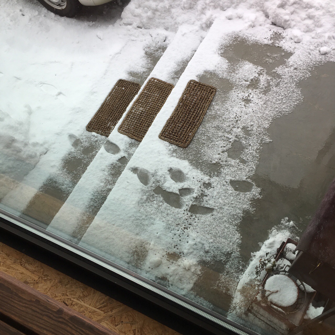 3EFEC247-4404-4A7B-B18A-7A605B5160D9