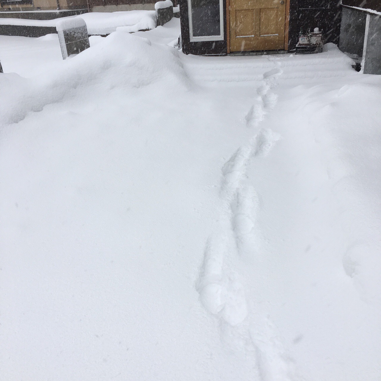 3FC03638-AE0A-4296-B762-A54D6C4E9E17