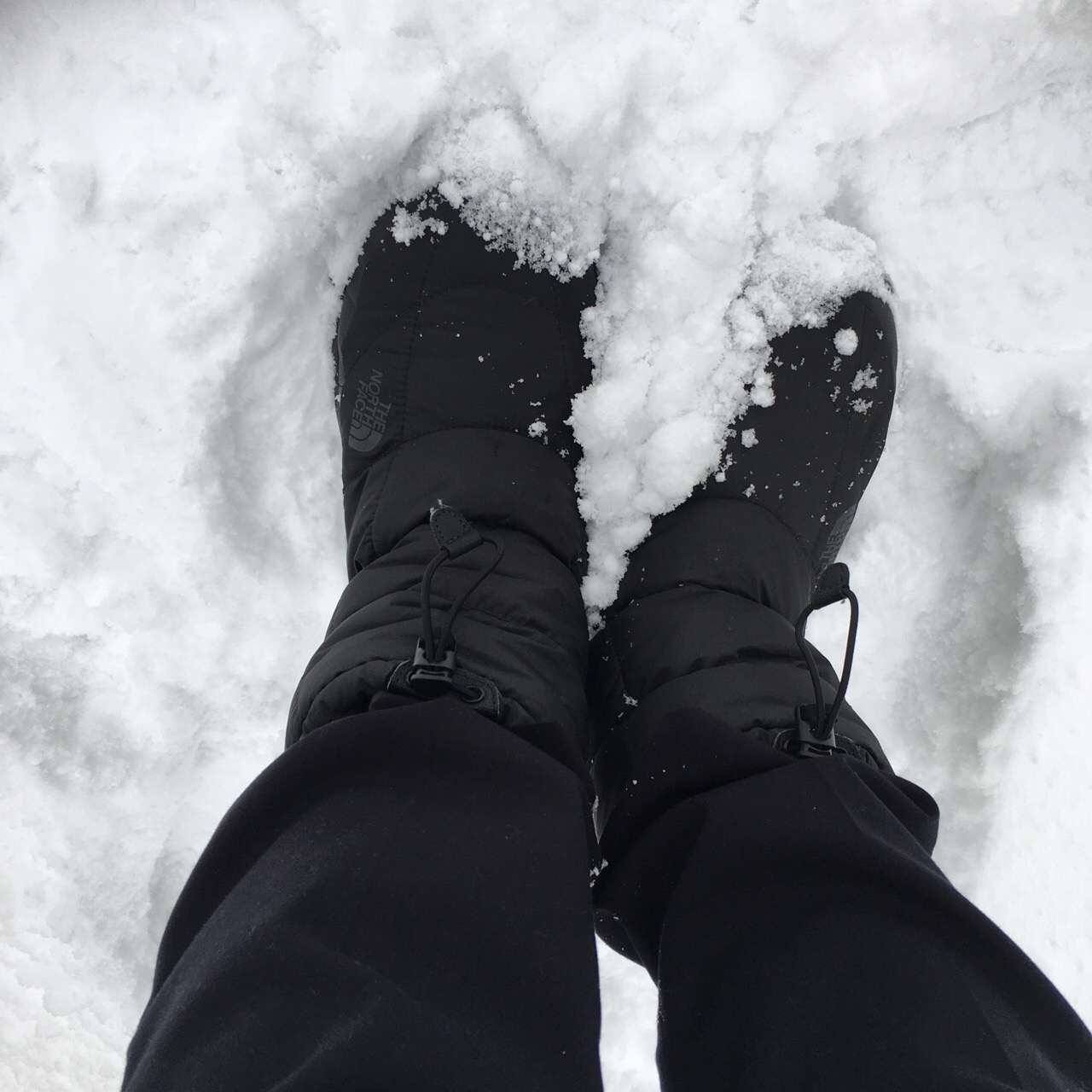 5BC7D682-662A-45F1-A8EF-1C2DC8B5A1F2