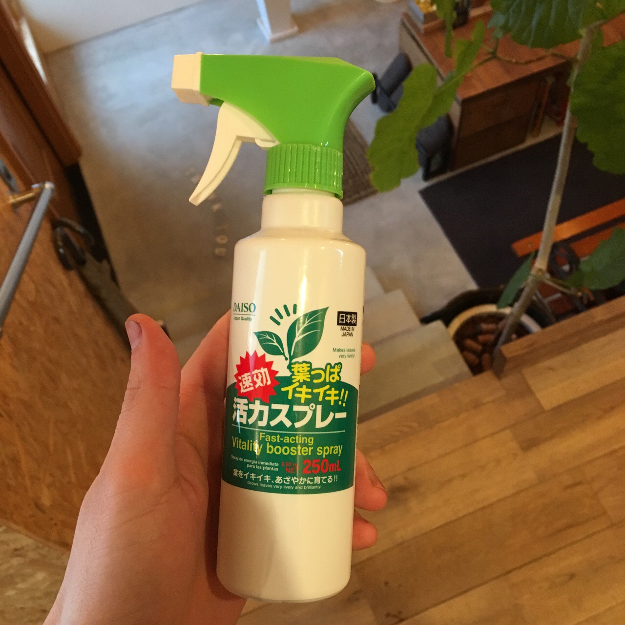 6FBBBE3E-D6E4-4D68-8230-40CE71304C26