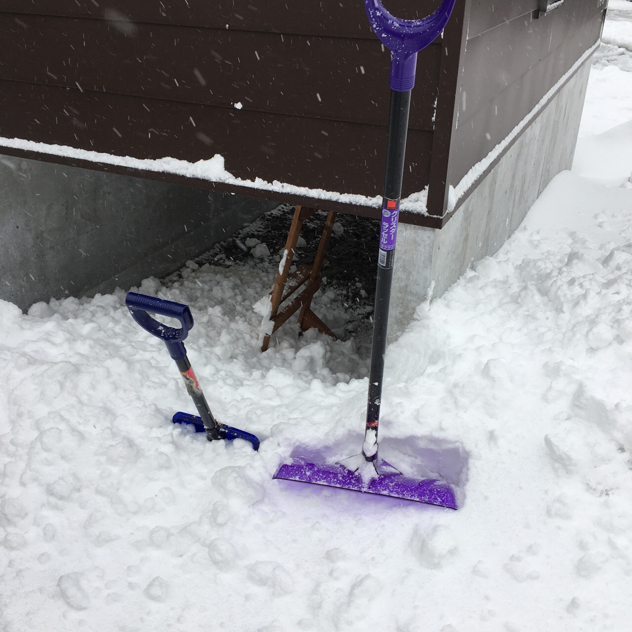 758EEA6B-F5B8-4CC4-AF04-EE2BF075149D