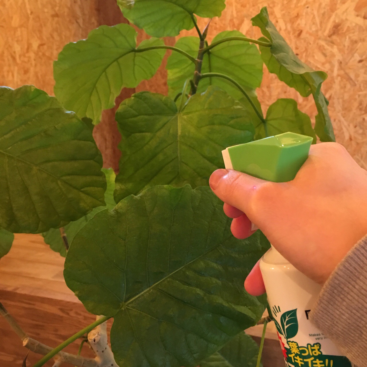 8A0C2062-24B5-4649-8BA3-7BD4A0162950