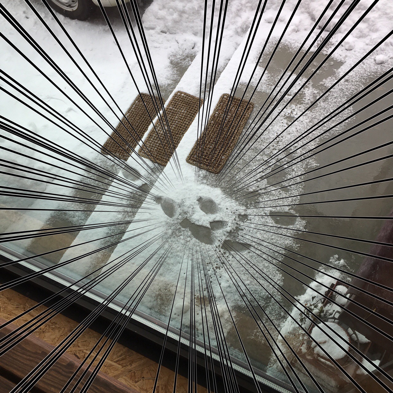 92FE1F7B-200B-4CE3-8126-FD711B79DD15