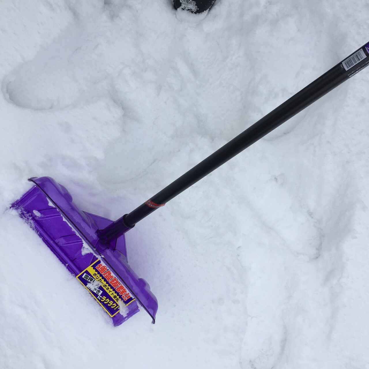 CB3A7337-EE1C-4733-BAB0-D8713B1AC76D