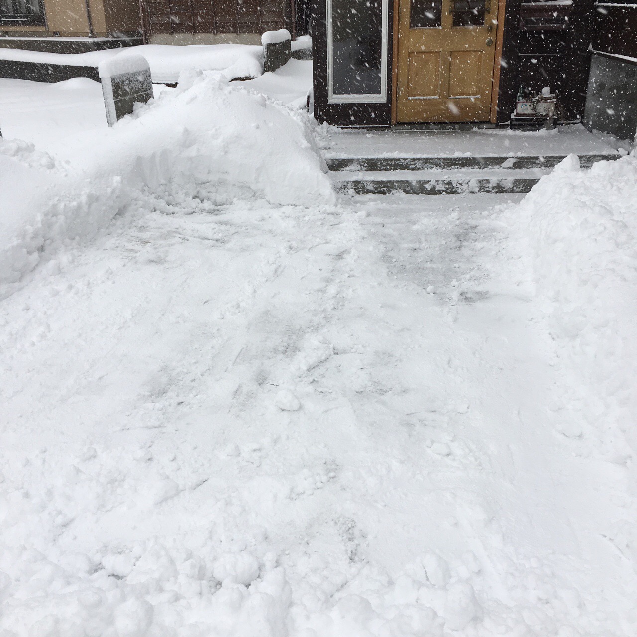 D0E74A4F-C907-482B-AB2E-16BC104FA195