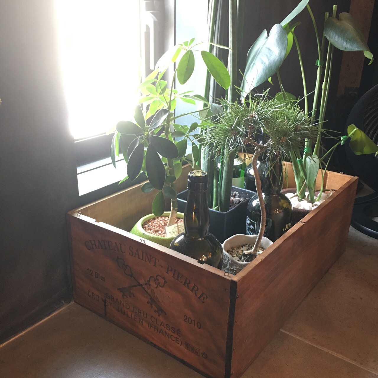 EFAEB818-6C13-42AB-8653-E7FBF67F36B1