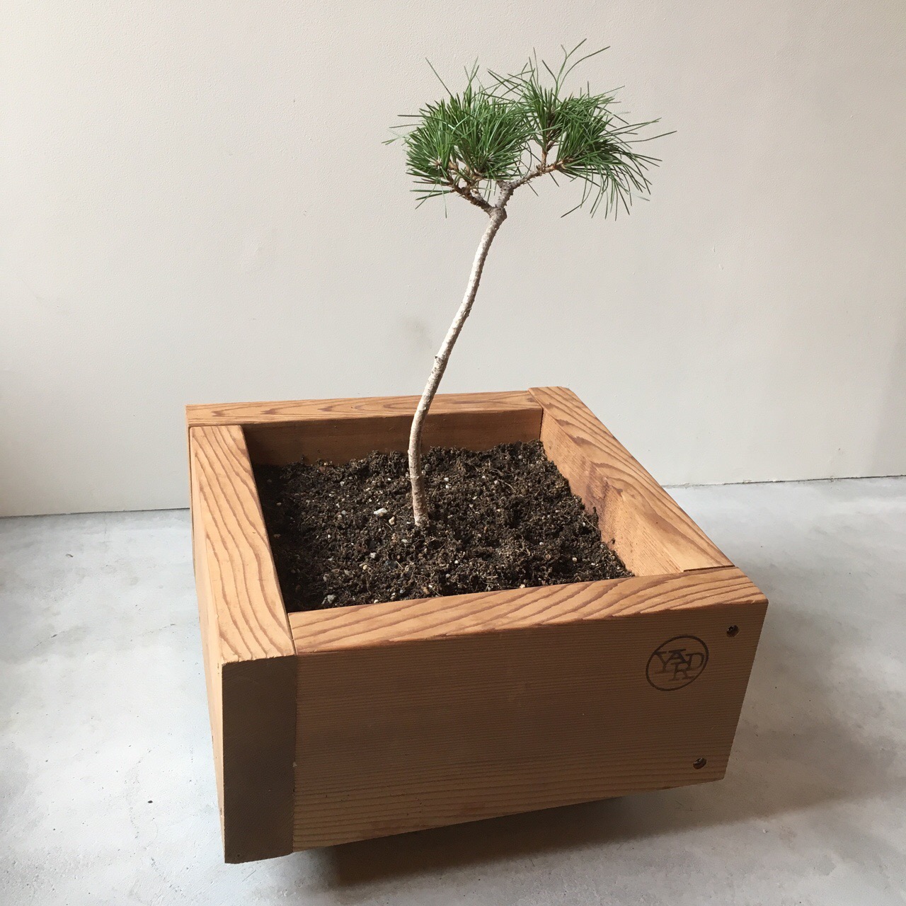 2CE8E9FD-70EE-4023-BD7B-632408B22BFF