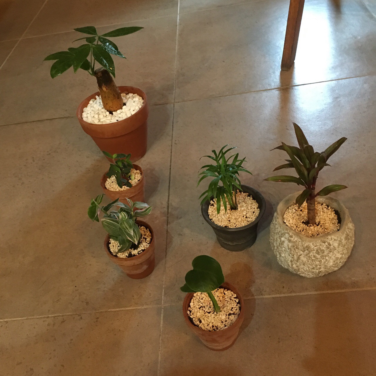 79ADC112-F5EA-47D4-8135-973BBB50ACE6