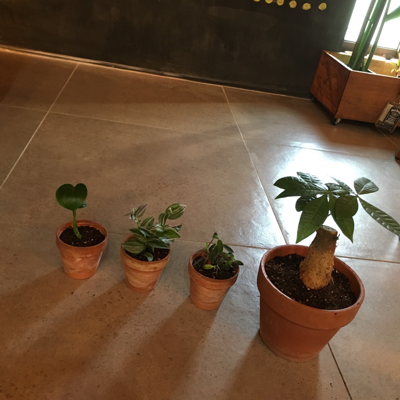 7E874BA6-5D75-4836-9208-99DF5DC5A15C