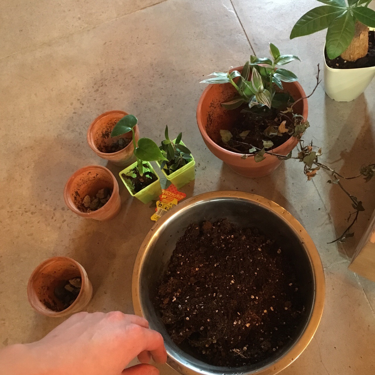 CC332035-F44C-44AE-AA19-A7E729C37CBA