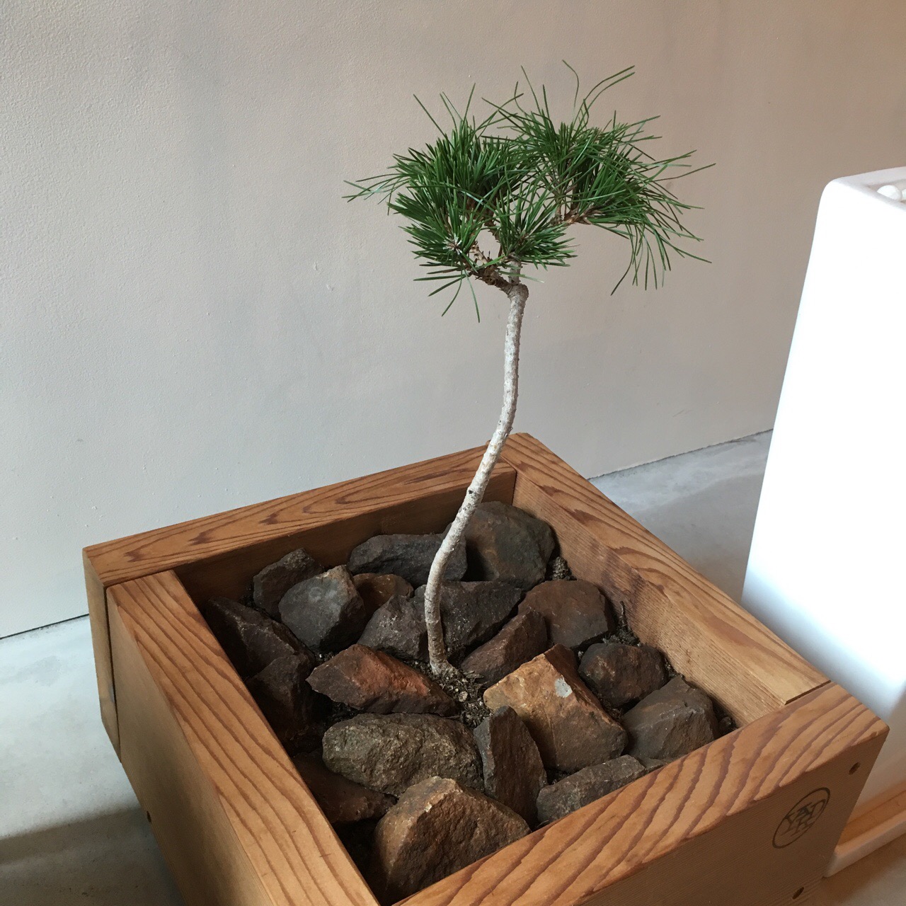 D655D090-0BE5-471B-BB73-4F98359C8964