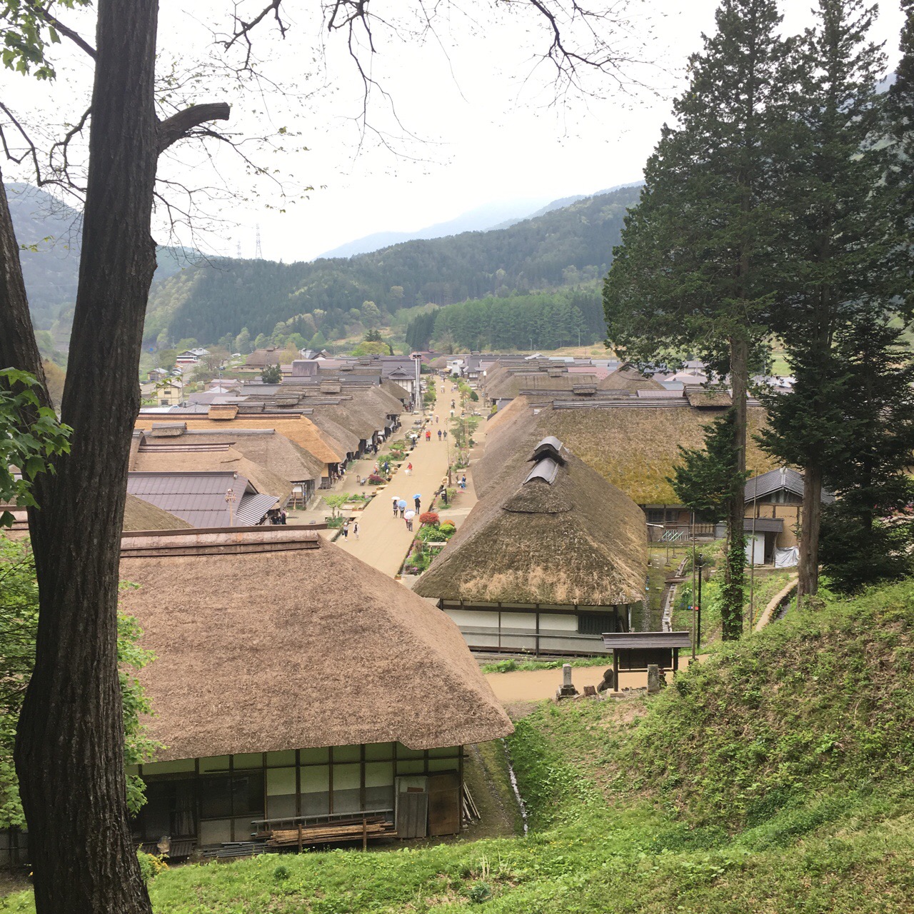 315DEDDF-D7CE-43E9-B155-4E120960B7AD