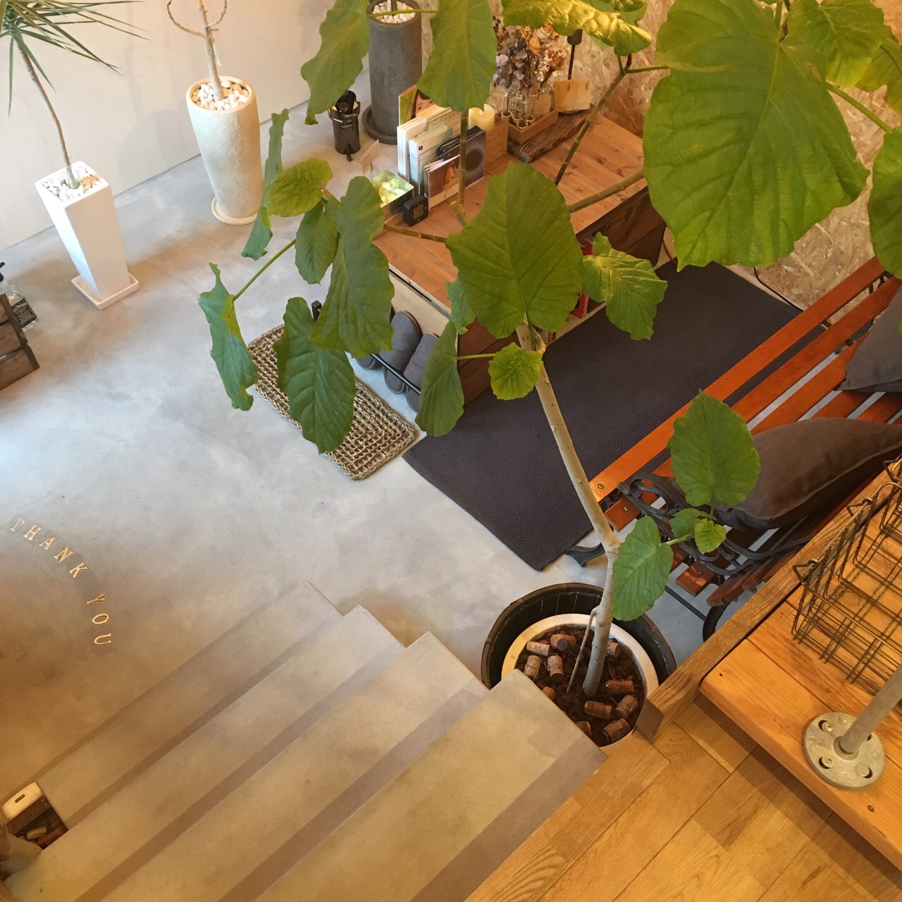 3800F2D9-09B3-4122-ACAB-CFAB9690A10B