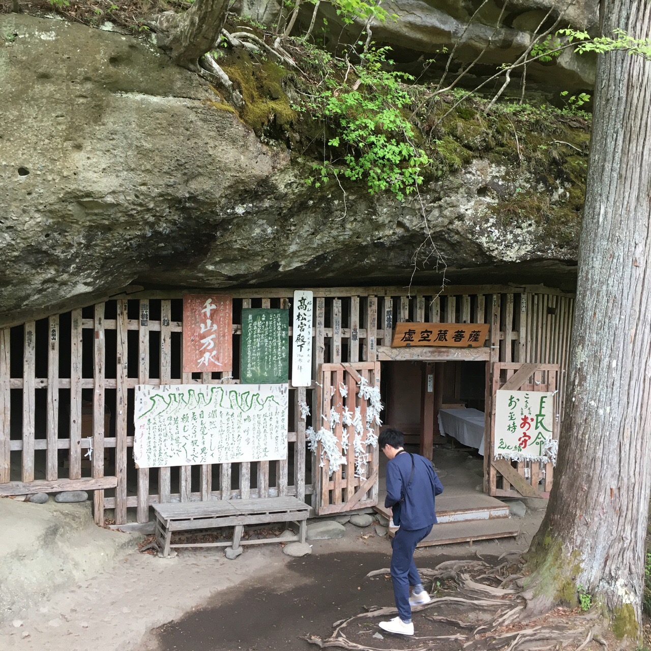 50C86E5D-F8EF-4E4F-856D-FAD8AF173907