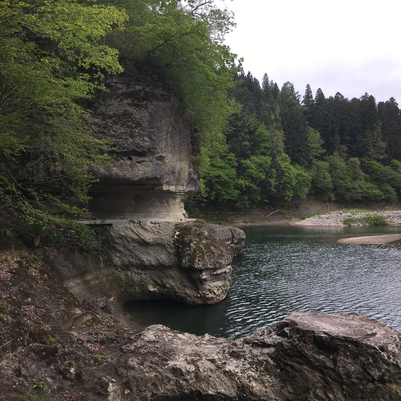 538484A1-F4BA-46D6-AF9E-833C01A2E501