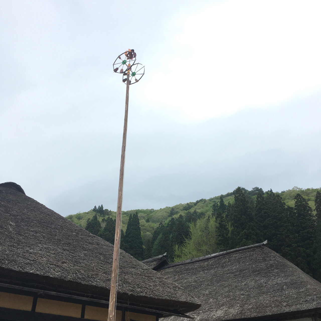 BAF86F78-D1A7-432A-9D22-27398D773B4B