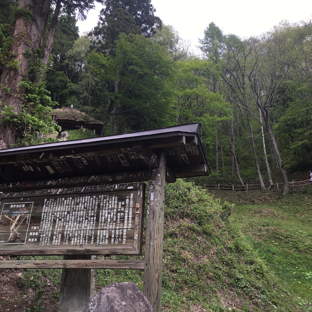 D73CB8A4-6465-4D70-8F20-337E2B213555