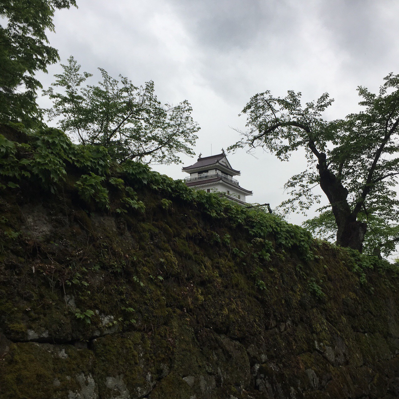 DF2EA5ED-9D4F-4BFD-89E0-ABF56B368C8F