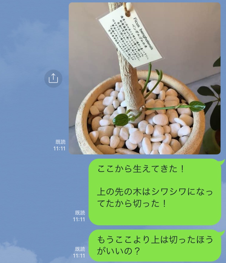 0A1AF4B3-959C-460B-A0EC-E899516BB4FA