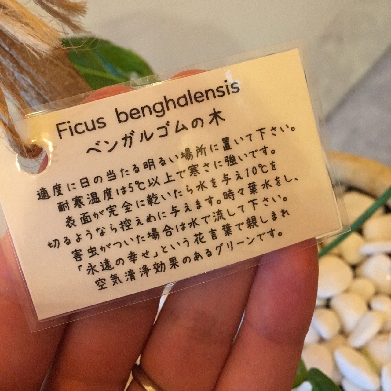 0E1E3EAD-447D-4168-AF42-2F106F0FDB18