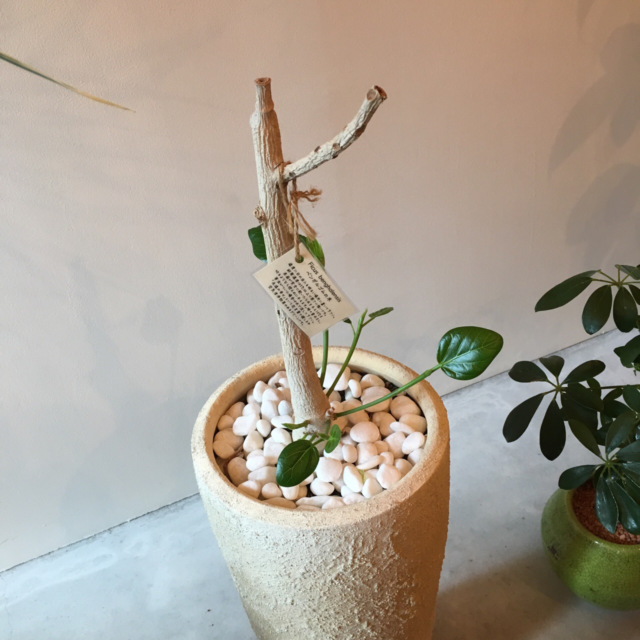 43089DD0-3058-4DA2-B1FE-8161390E5F76